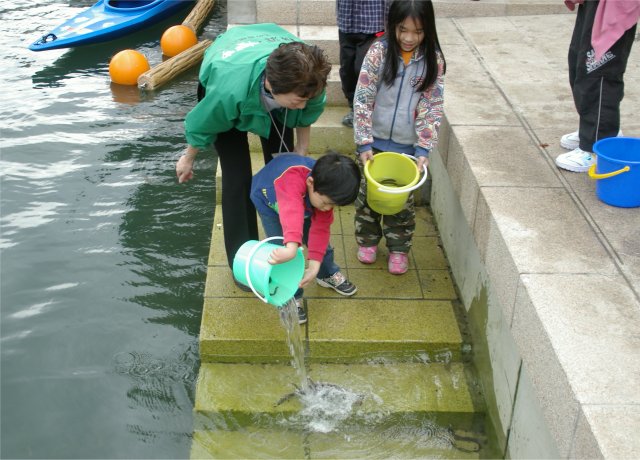 ���ʤ���ή��