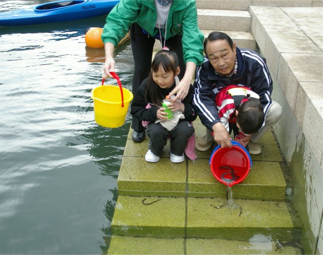 ���ʤ���ή��